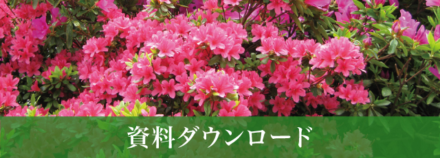 資料ダウンロード